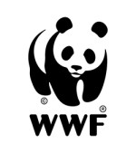 WWF: Planet-friendly steps for a sustainable Christmas