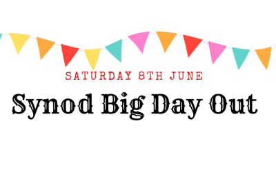 Big Day Out – Feedback