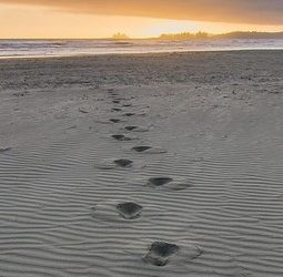 Walk and Not Be Faint – A Lifetime of Ministry                                                   by Revd Derek Newton